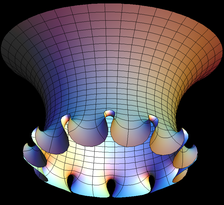 catenoid enneper12