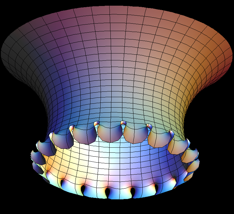 catenoid enneper20
