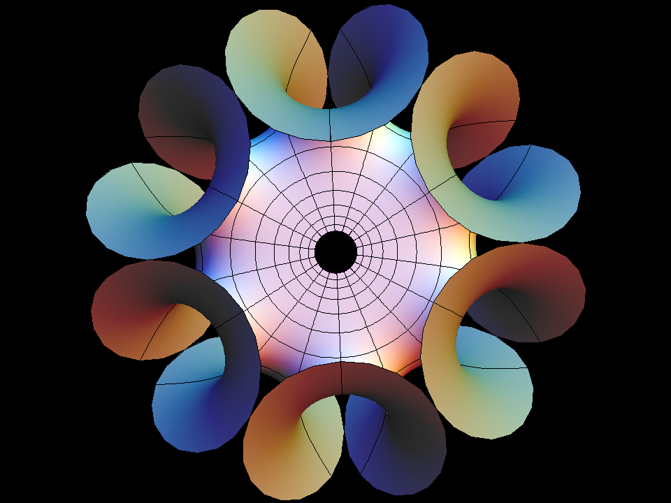 Enneper6 polar