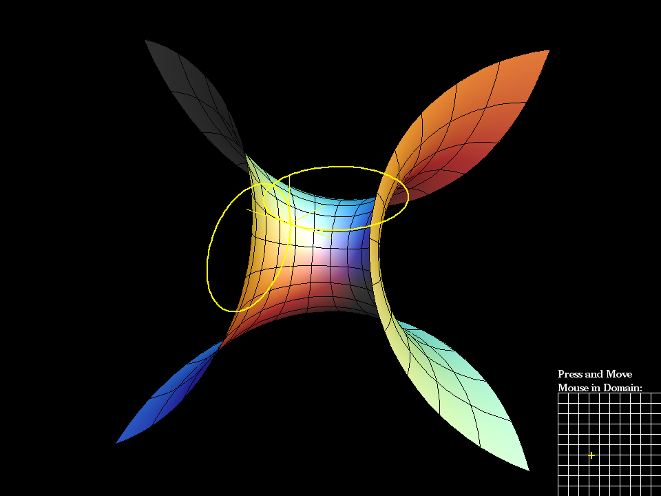 enneper2 curvecircles 001