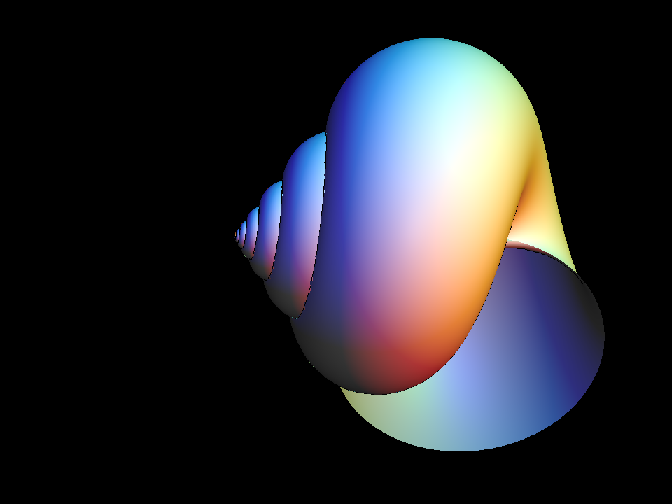 snail shell 001